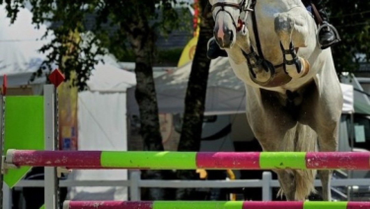 Championnat de Belgique des 6 ans